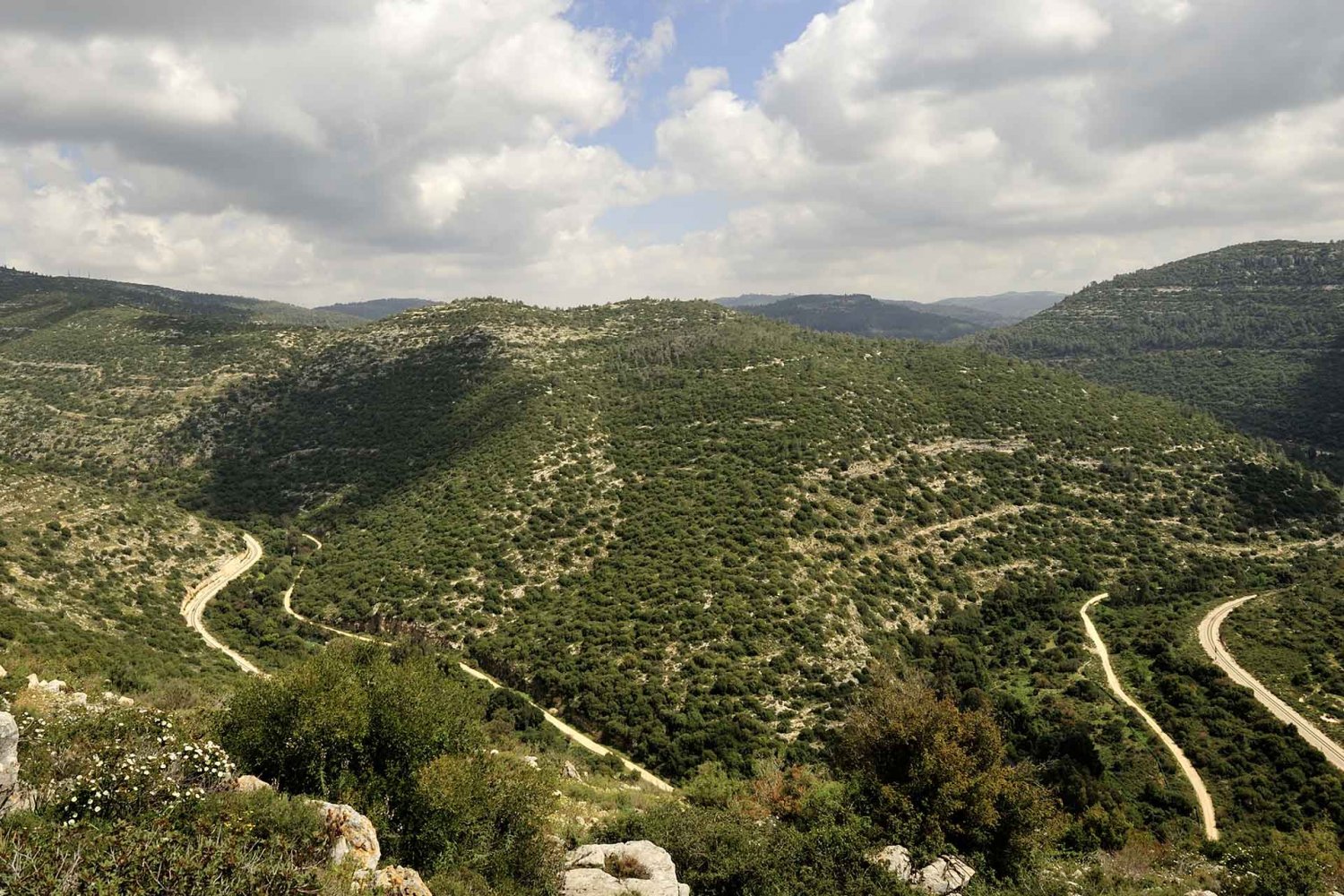 Landscape view of the Jerusalem hills